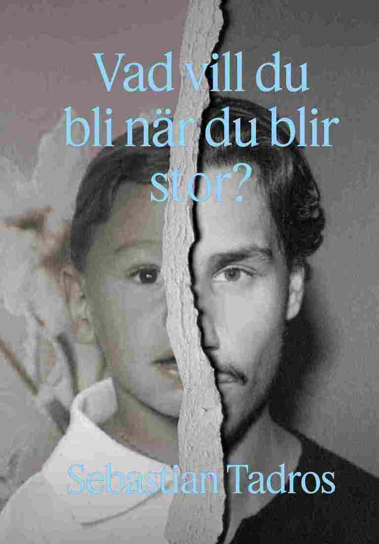 Sebastian Tadros - SIGNERAD - Vad vill du bli när du blir stor?, Kartonnage